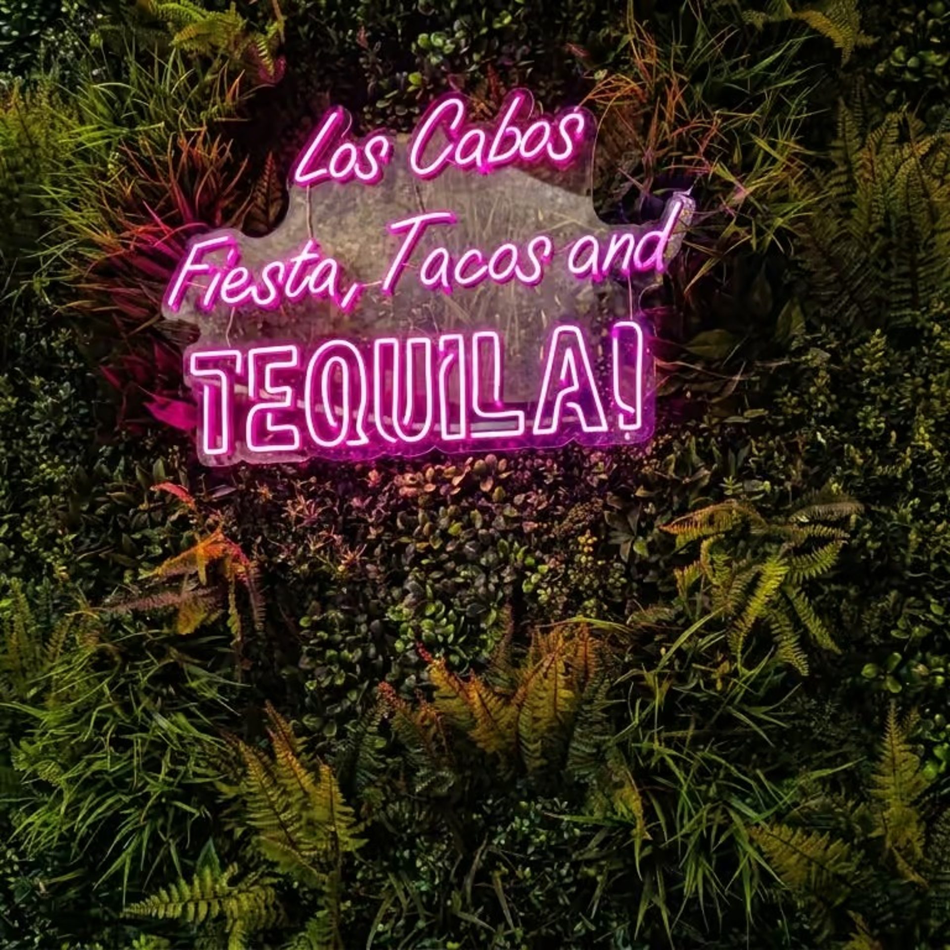 Visit Los Cabos Today!