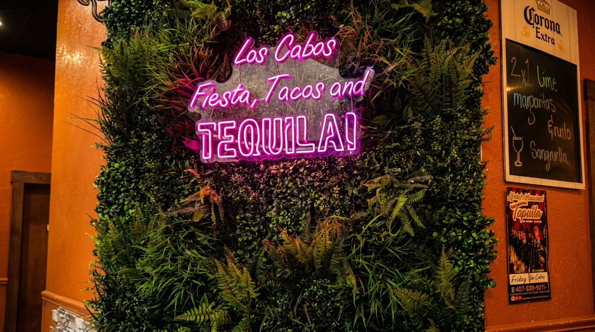 Welcome to Los Cabos!